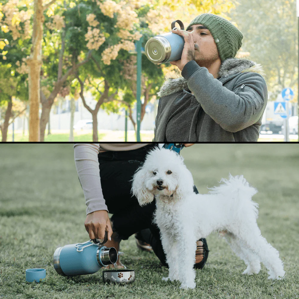 Blue Dog Bowl Bottle - Image 7