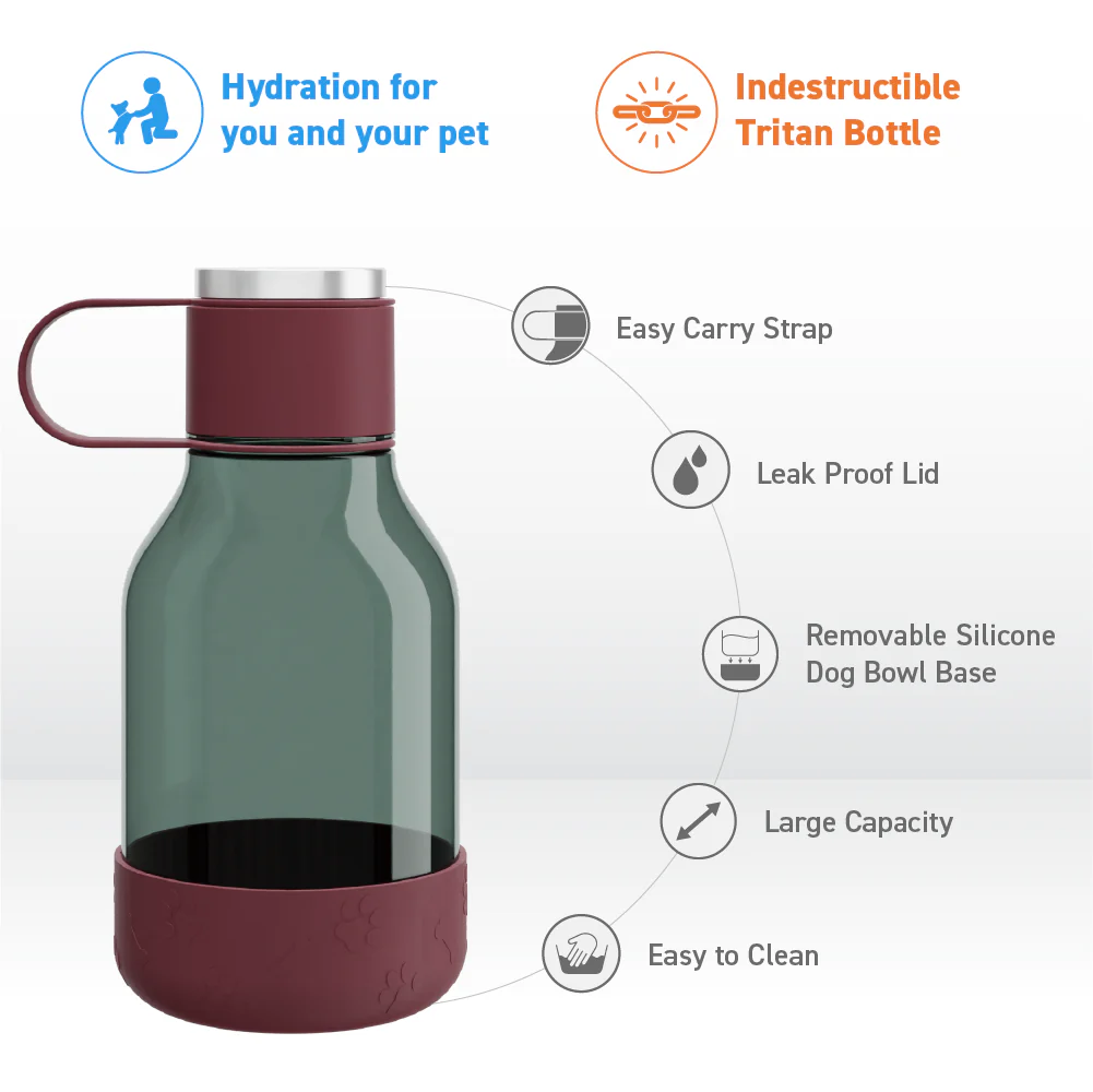 Burgundy Dog Bowl Bottle Lite - Image 7