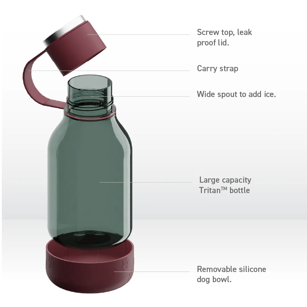 Burgundy Dog Bowl Bottle Lite - Image 9