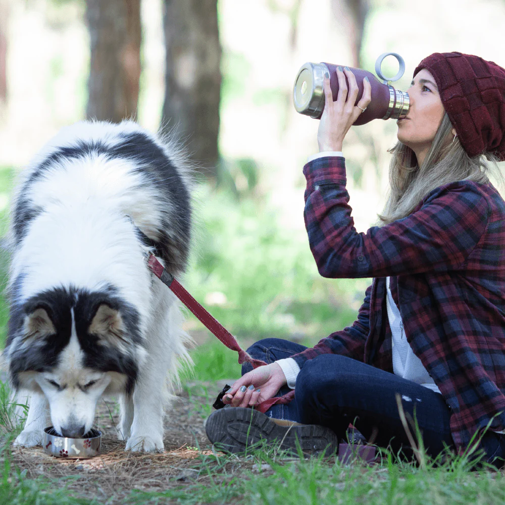 Burgundy Dog Bowl Bottle - Image 7