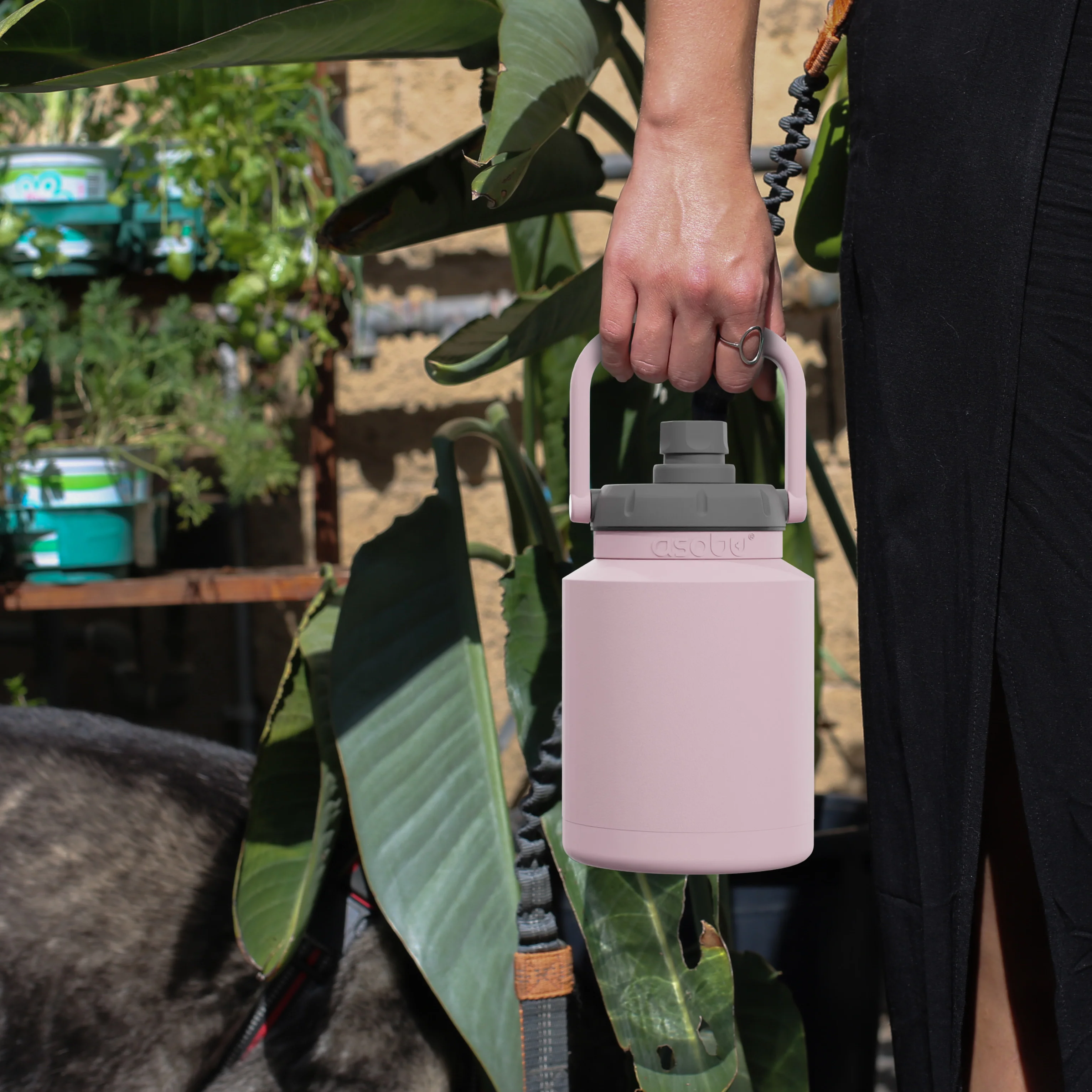 Pink Mini Jug - Image 6