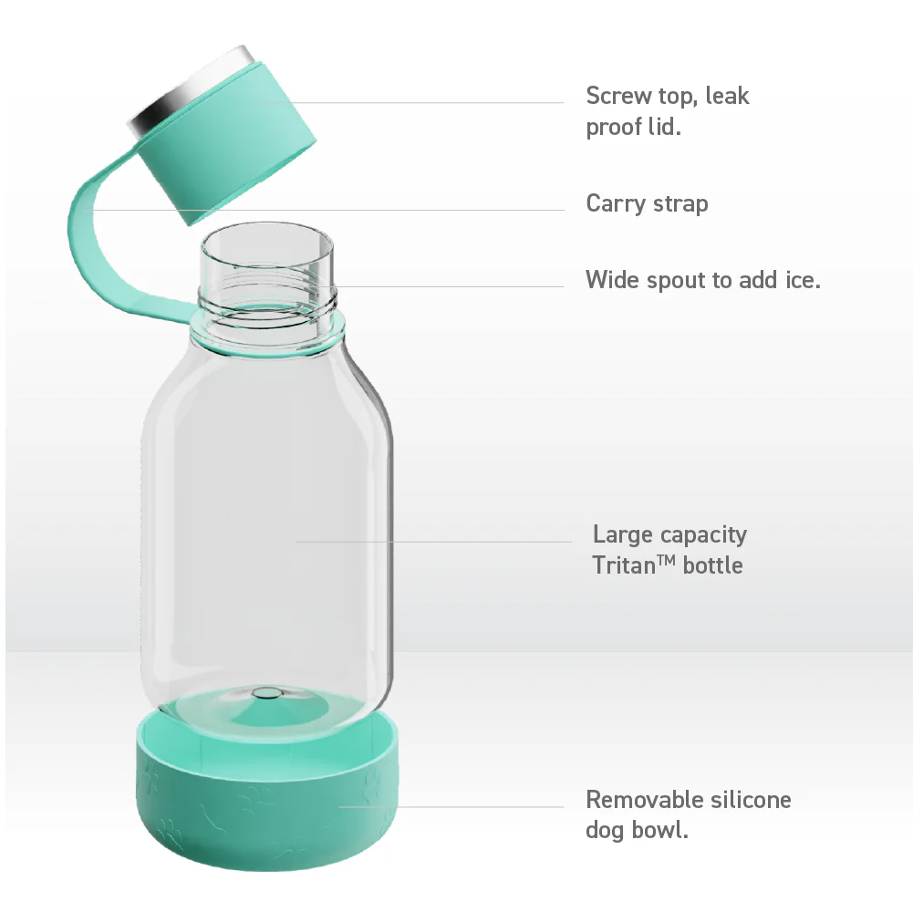 Teal Dog Bowl Bottle Lite - Image 4
