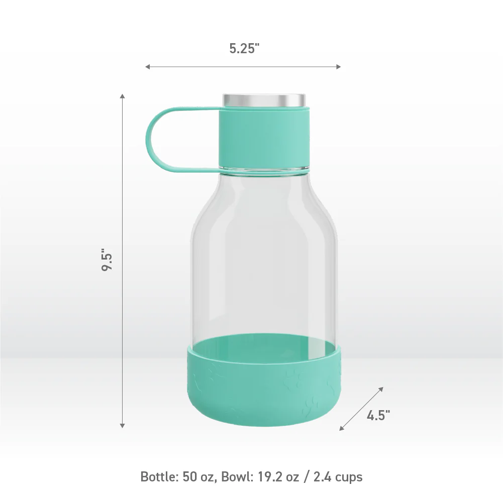 Teal Dog Bowl Bottle Lite - Image 5