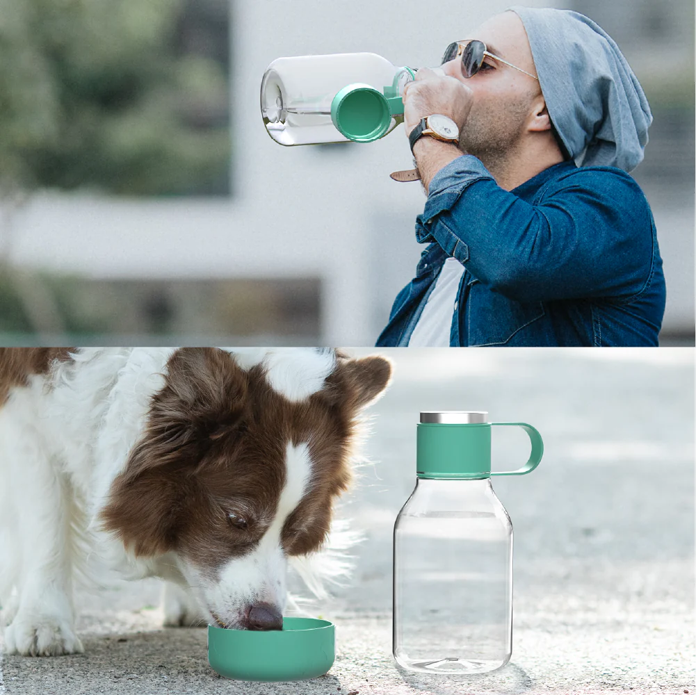 Teal Dog Bowl Bottle Lite - Image 6